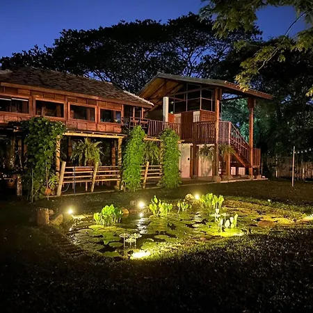 Bamboo Nest At Sanggadee Space-3