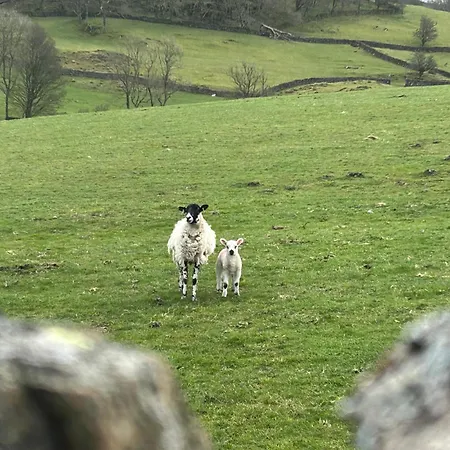 Cragg House Farm B&B-3