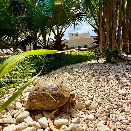 Villa Nour-3