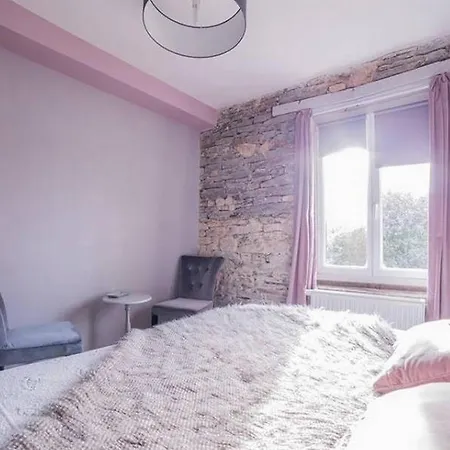 Chambres d'hôtes - Au Domaine des Camélias-2