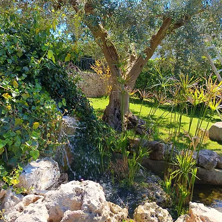 B&B La Rosa dei Trulli Alberobello-3