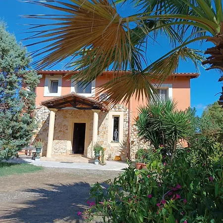 Orange Ville-3