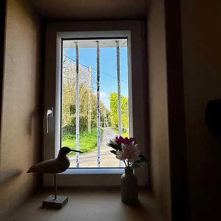 Villa Boreas-2