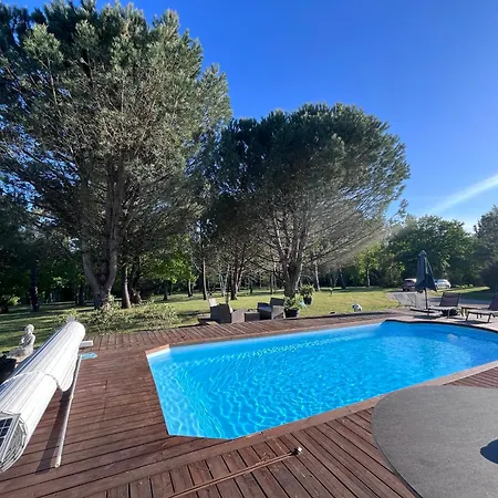Les Pins Perdus-2
