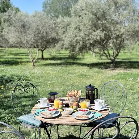 Domaine Au Coeur des Alpilles-3