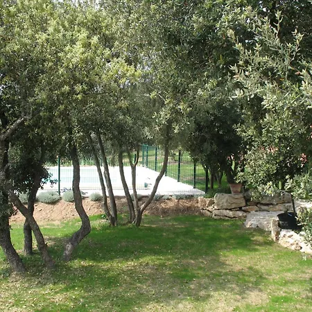 Ll Poulidetto-3