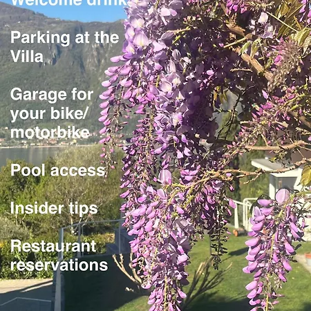 Villa Monte Bianco-2