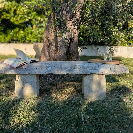 Il Monile-3