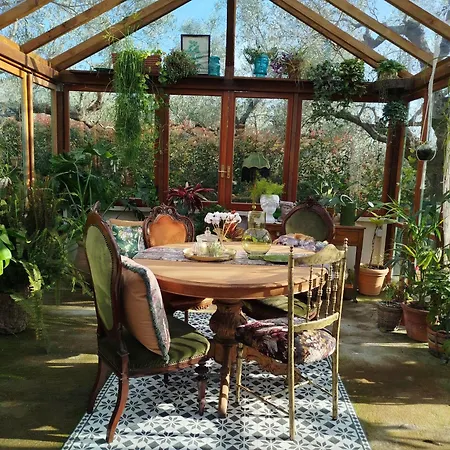 The Treehouse - Casa sull'albero al Golden Camp-2