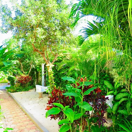 Casa Magu Merida-3