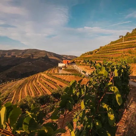 Quinta Vale De Lobos-2