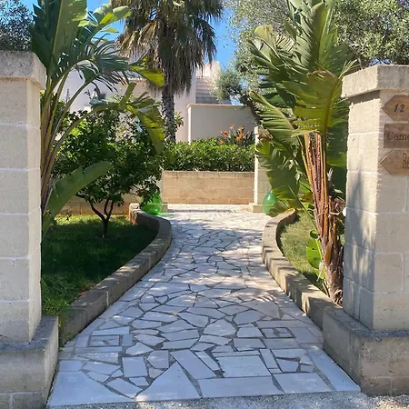 Tenuta Verdolivo-2
