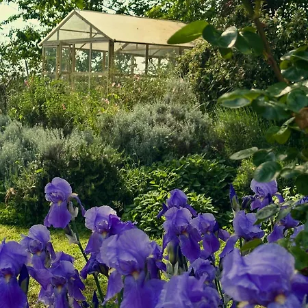 B&B Ostria Vento-2