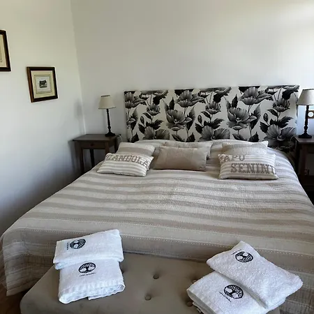 Casa Mimosa-3