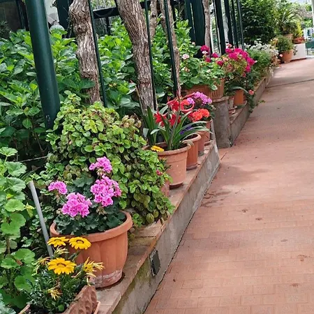 Villa Dei Fiori B&B-3