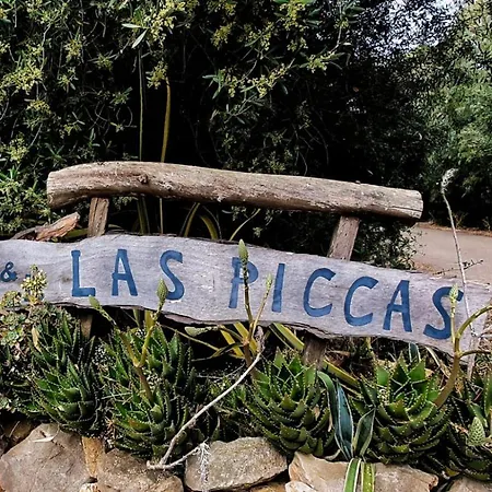 B&B Las Piccas-2