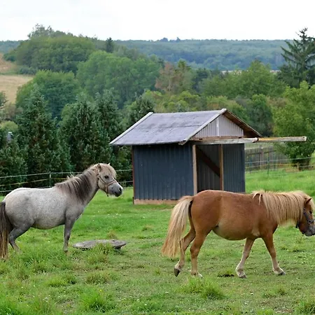 Ferienwohnanlage Königerode-3