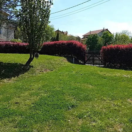 LA TANA DELLA VOLPETTA - Bed&Breakfast-2