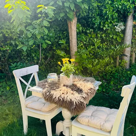 Bed&breakfast Yerseke-3