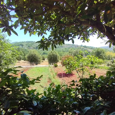 Petalo Rosso b&b-2