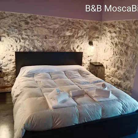 B&B Mosca Bianca-2