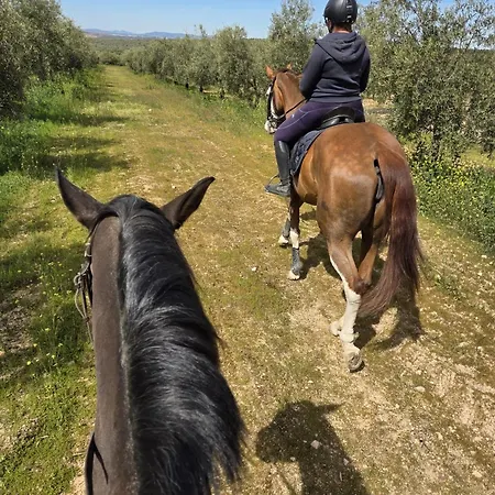 Cortijo Carrillo-2