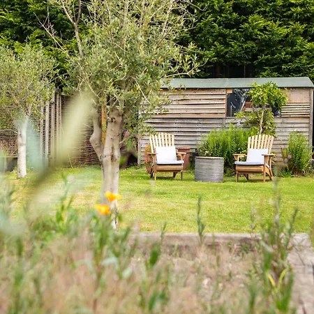 Daisybank Cottage Boutique Bed And Breakfast-2