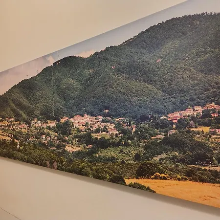 B&B Il Poggio di Fiore-2