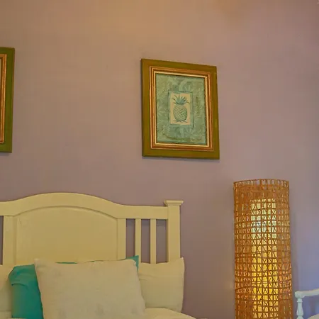 Hotel El Tronco Inc-2