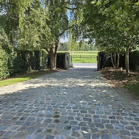 Casa Leone Near Bruges With Jacuzzi & Parking-3