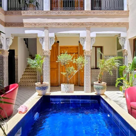 Riad Amazing-3