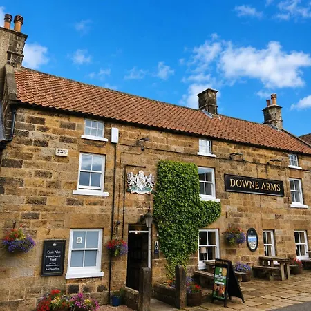The Downe Arms Inn-3