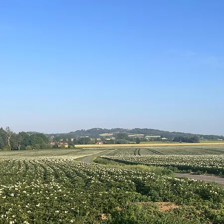 la ferme au bois dormant-2