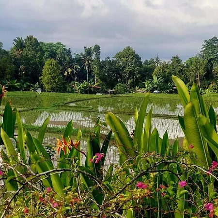 Taman Eden Cottage-2