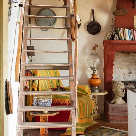 Selvatica50 b&b-3