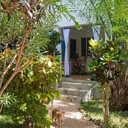 Villa Kiota-2