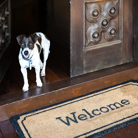 The Courthouse Bed & Breakfast-3