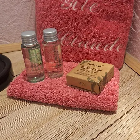 Domaine Saint Claude - Gîte , Chambres d'hôtes&hébergement insolite-3