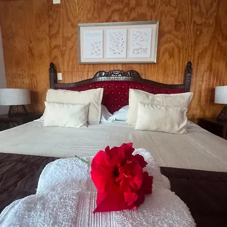 Teanehi Bed & Breakfast-2