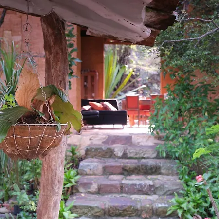 El Paraiso - B&B Finca San Vicente-3