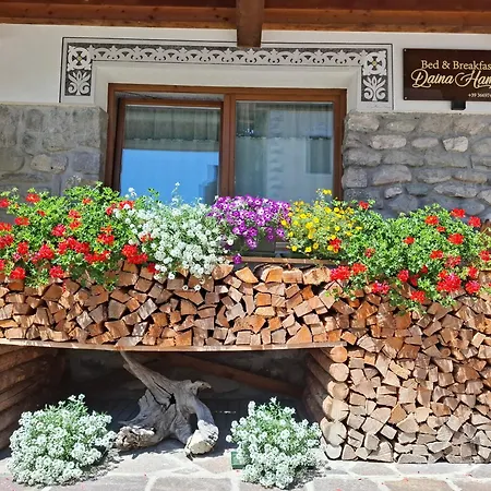 B&B Daina Hame-3