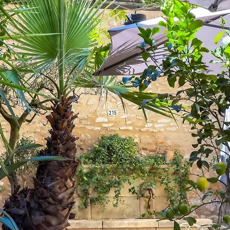 Le 215 Gambetta boutique hôtel en Provence-3