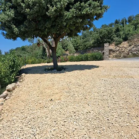 Il Doganiere-3