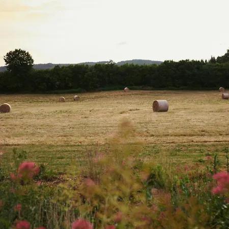 Chateau Gioux-2