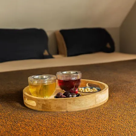 Nest - luxe wellness met privé sauna in Friesland-2