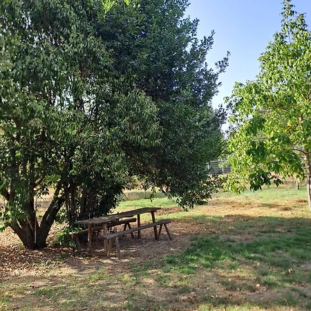 La Casa dei Cavalli B&B Narni-2