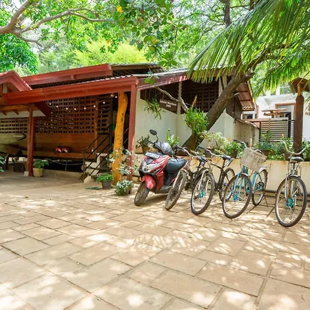 Golden Rainbow Guest House-3