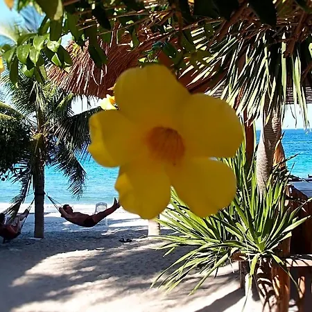 Bamboo House Beach Lodge & Restaurant-2