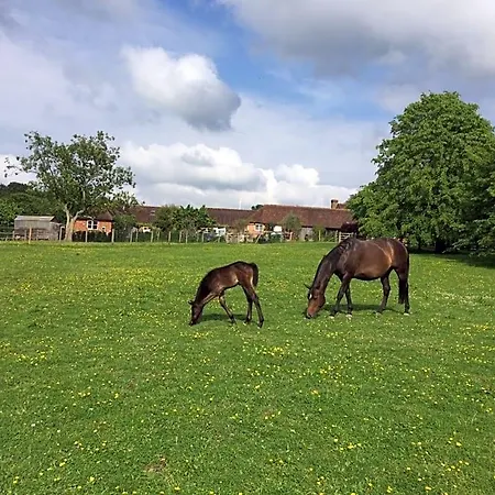 Three Chimneys Farm Accommodation-3