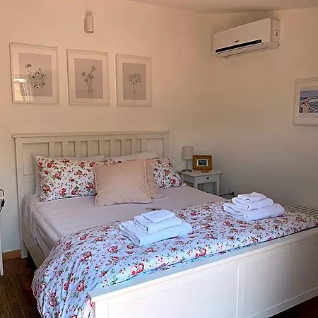Pizzo Central House-3